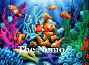 NEW Nemo Apartment - Pet Friendly